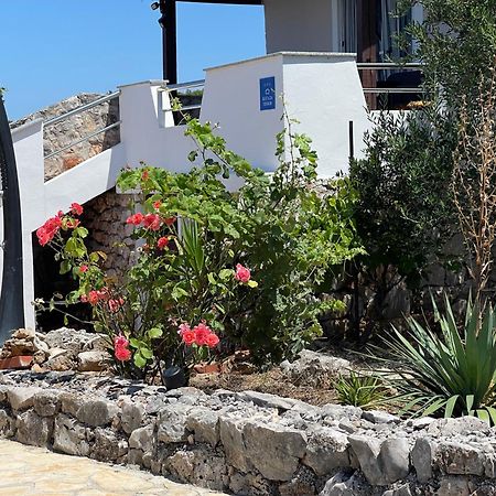 Holiday House Rusticana Sali, Dugi Otok Near Np Kornati Экстерьер фото