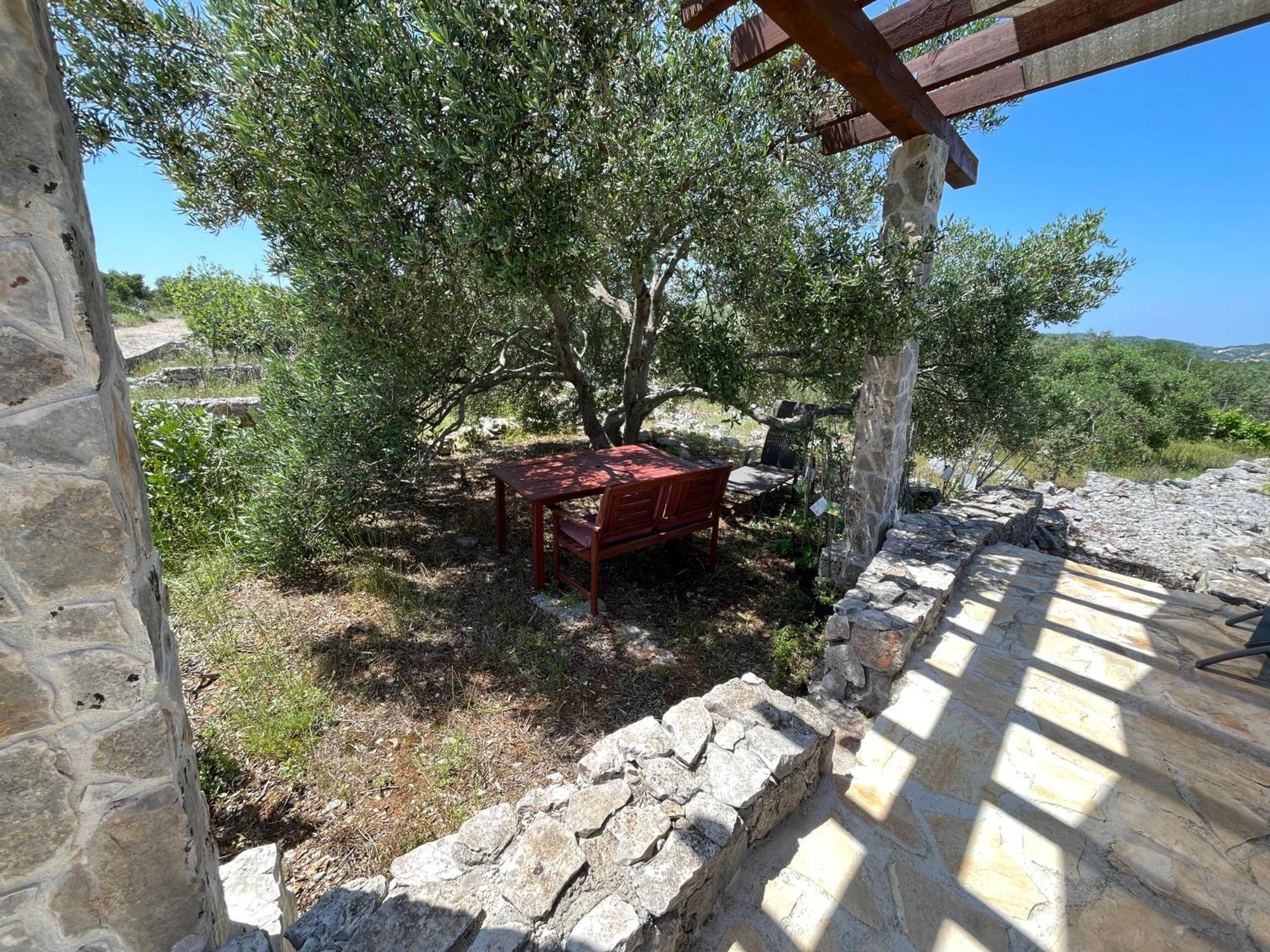 Holiday Home Rusticana***Sali, Dugi Otok Экстерьер фото